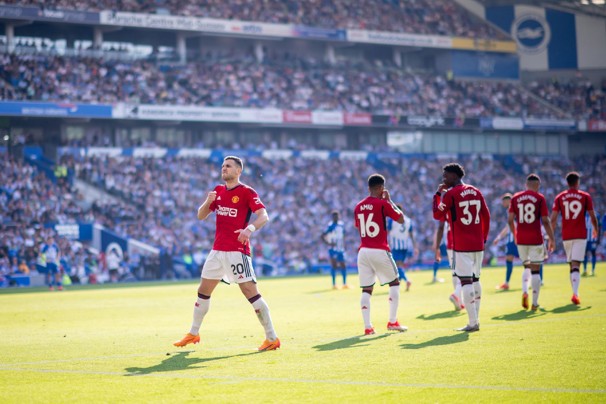 不仅收获了 不仅收获了